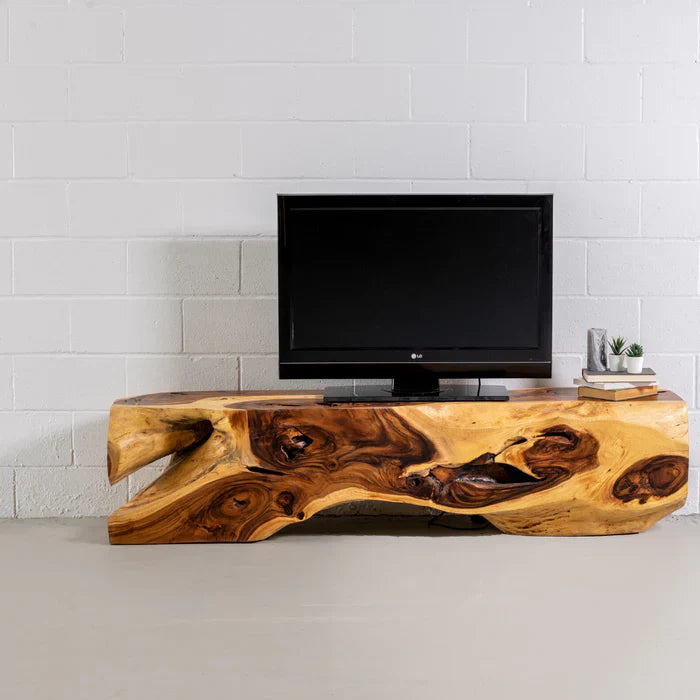Media Unit
