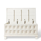 Haveli White Carved Trunk Coffee Table — RVS-9 TRUNK OPENED